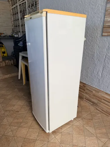 Freezer Consul Slim 190