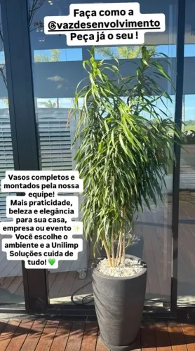 Aluguel de planta pra festa 