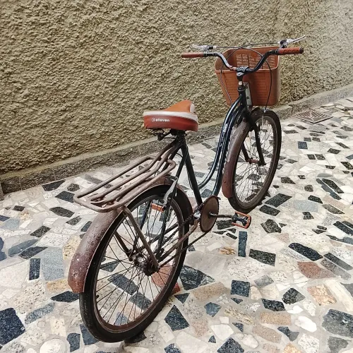 Bicicleta Galileus Simples