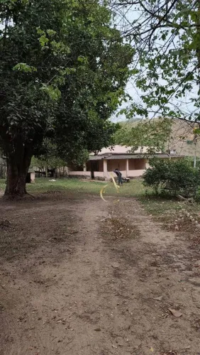 SÍTIO PARA VENDA - CAMPO ALEGRE - NOVA IGUAÇU