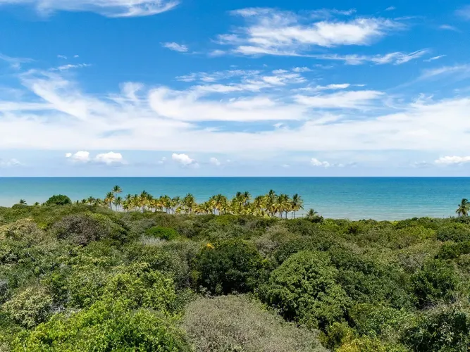 Terrenos pé na areia com 100 m de praia e acesso controlado 24h