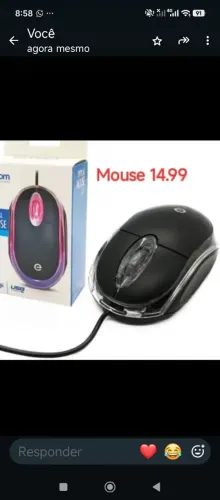 Mouse