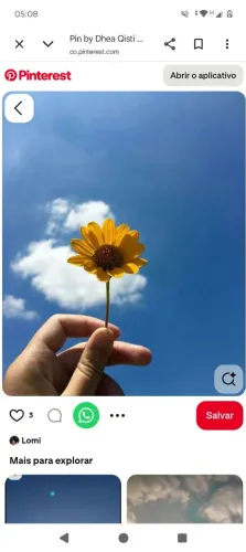 Procuro uma diarista