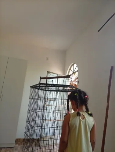 Gaiola linda era do casal de pássaro da minha esposa