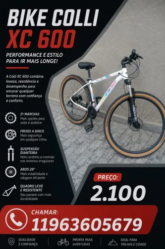 Bicicleta