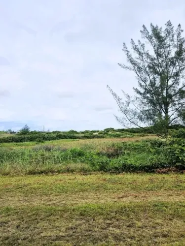 Terreno para Venda em Ilha Comprida, Balneário dos Meninos