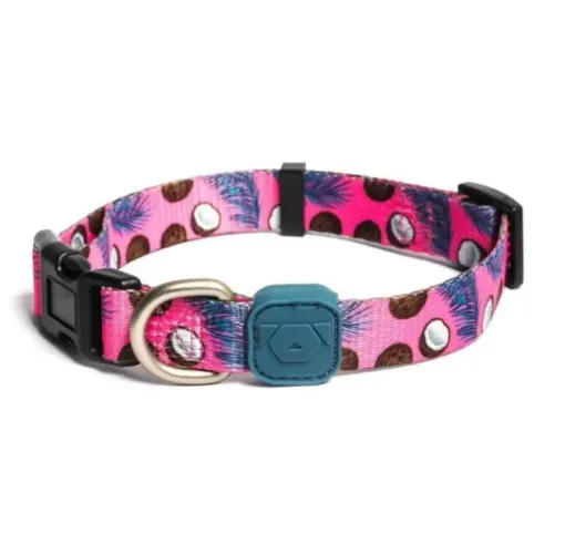 Coleira Colar para Cachorro e Gato com Estampas Diversas