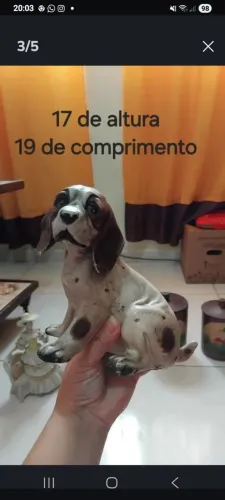 Cachorro decoração 