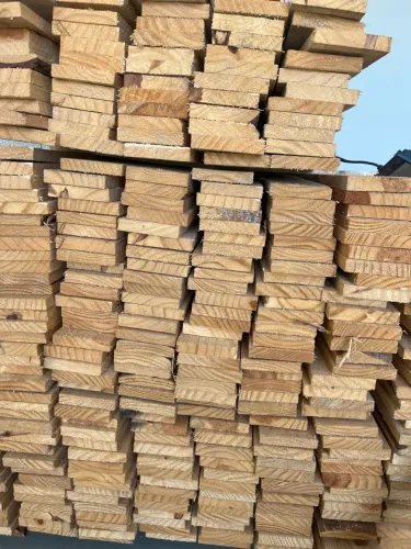 Promoção Pinus de 10cm
