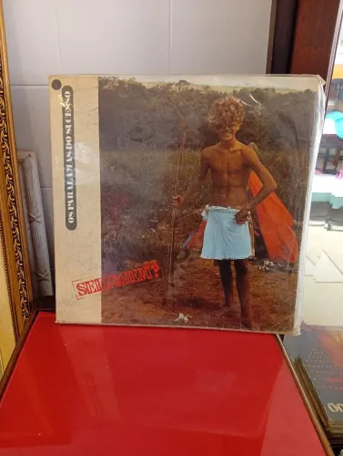 Lp paralamas do sucesso selvagem 