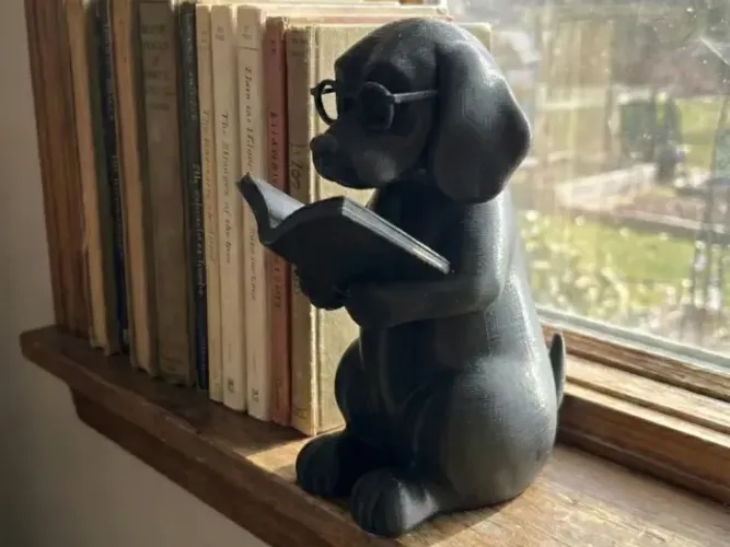 O Cão Intelectual - Decoração de Biblioteca e Mesa