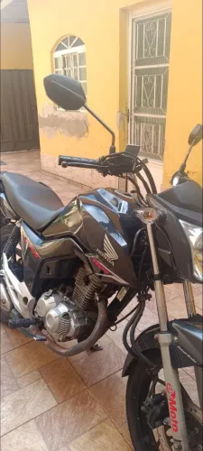 Fan 2019 