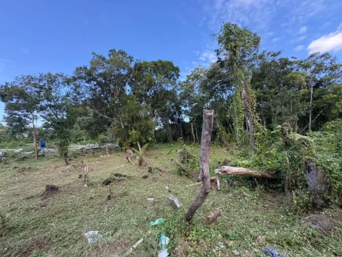Terreno para Venda em Itanhaém, Jardim Coronel