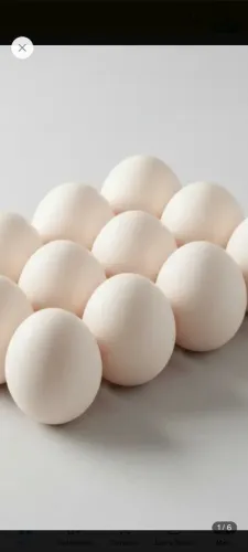 Ovos de marreco roen