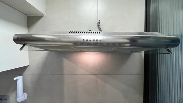 Depurador Electrolux 110