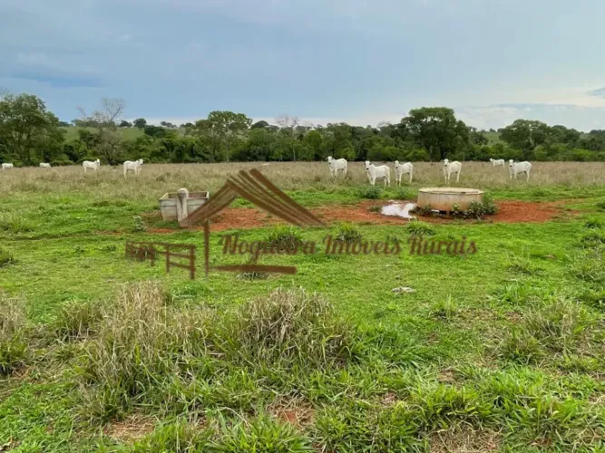 Fazenda a venda com 120 alqueires na região de Três Lagoas-MS