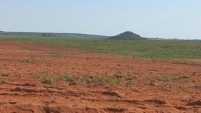 Fazenda de arrendamento 2.600 em Itiquiras MT ou vende.