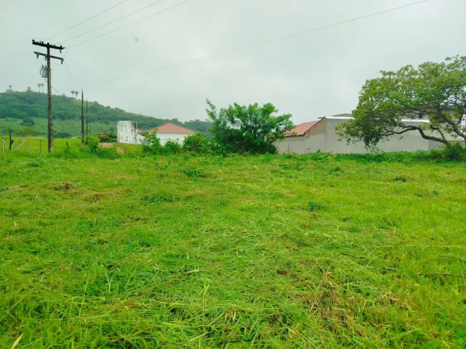 Vende-se Terrenos, tamanho 10x20, no distrito de Roma Bananeiras PB