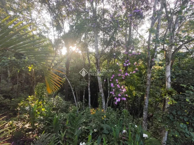 Terreno - Rio Grande da Serra - Califórnia Paulista