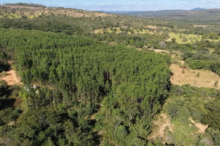 FAZENDA TANQUE E LAGOA - 116 ha - CORINTO MG