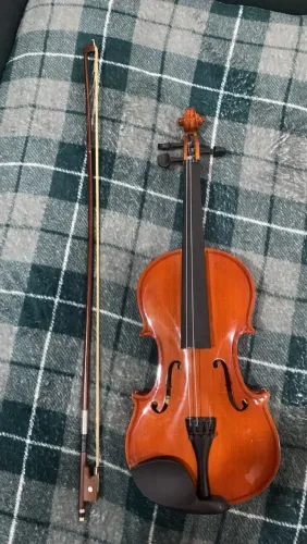 Violino