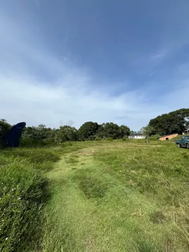 colonia japonesa/ comercial/ Investimento e incorporação