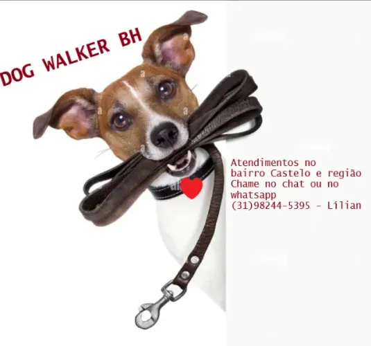 Dog Walker - Passeador de cães BH