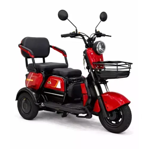Triciclo Eletrico Joy M19 1000W 60V Vm