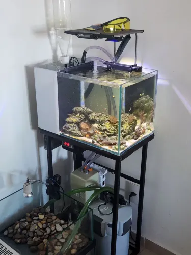 Aquário e suporte 