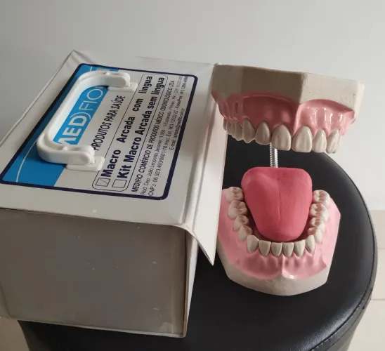 Modelo BOCA COM LÍNGUA