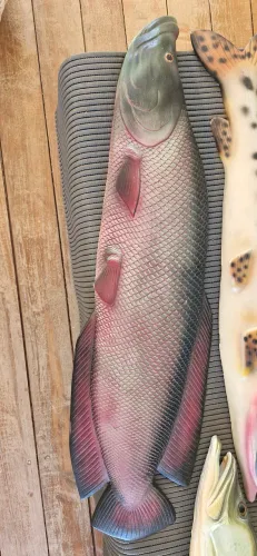 Escultura peixe pirarucu 1 metro