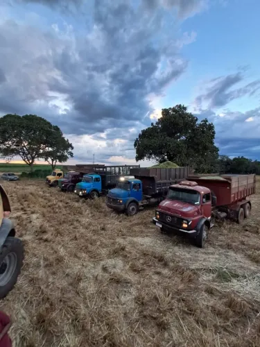 Vende-se 4 mercedes caçamba!