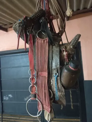 Vendo traia de arreio traia de lombo 