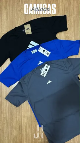 Blusas e calção Dry Fit