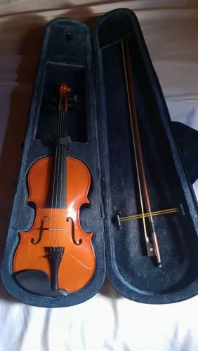 Violino