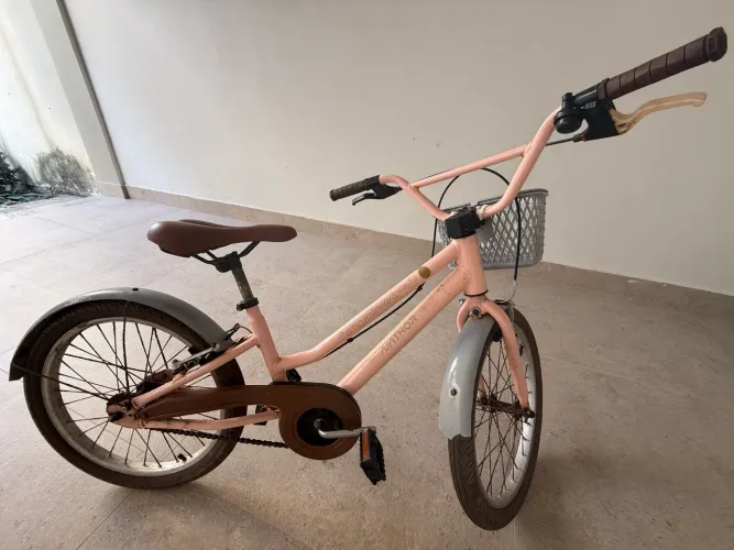 Bicicleta Passeio Infantil Nathor Mini Antonella Aro 20 Rosa