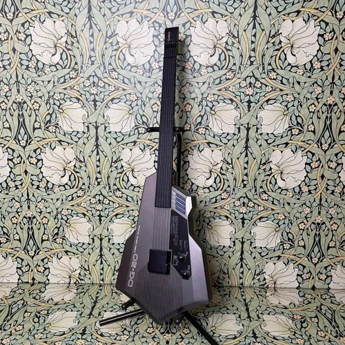 Casio Digital Guitar DG-20