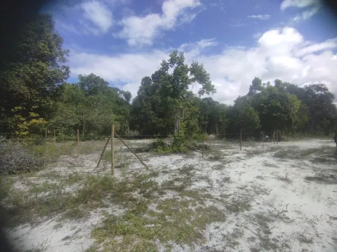 Terreno plano no Sargi