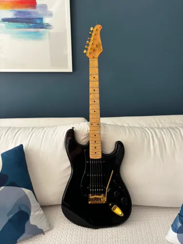 Guitarra Seizi Budokan