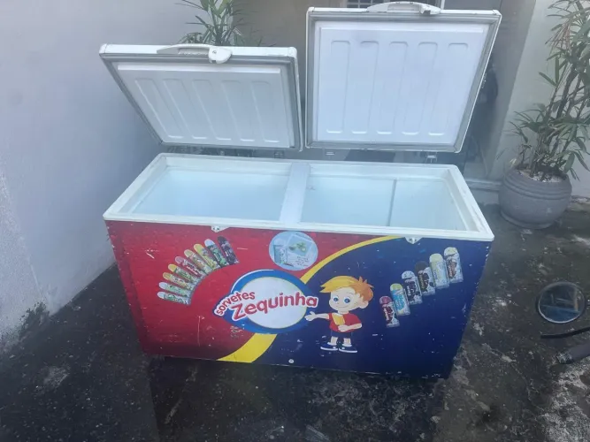 Freezer horizontal
