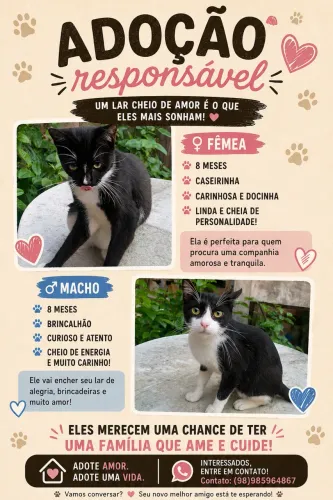 Animais