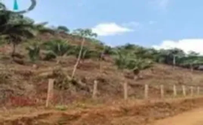 Área à venda com 851,85 m² em Paulo Ramos - MA.