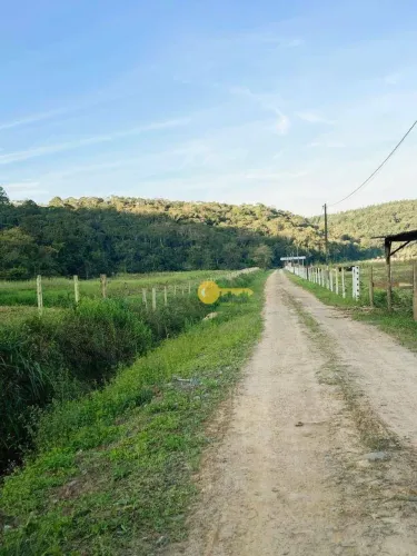 OPORTUNIDADE RURAL: TERRENO COM 66 HECTARES PREDOMINANTEMENTE PLANO EM LUÍZ ALVES