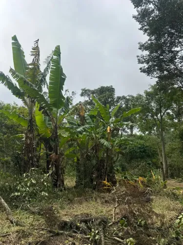 Terreno 500m² em Mairinque Próximo à Área Urbana