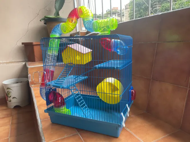 Gaiola hamster