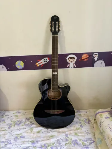 Violão Tagima