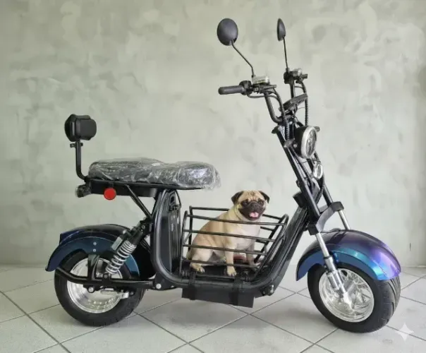 Gaiola Para Pet Scooter Moto Elétrica X11 (1000w) / X12