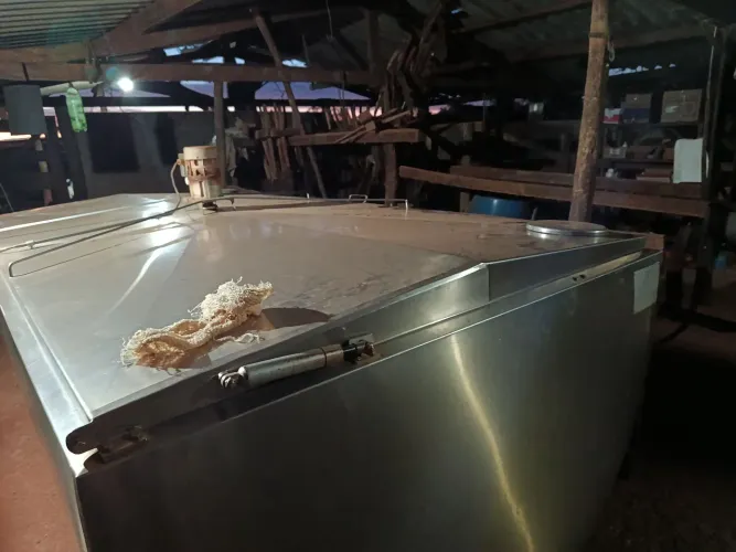 Vaqueiro ou retireiro