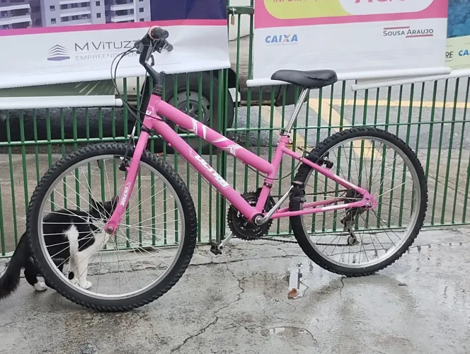 Venta bicicleta