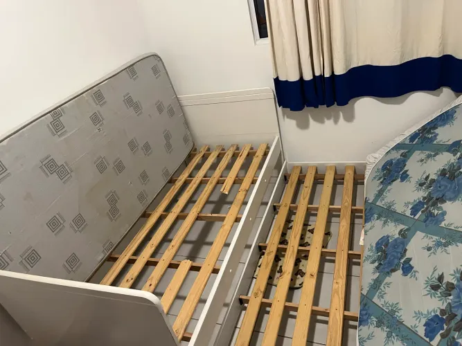 Vendo Bicama com Colchões 